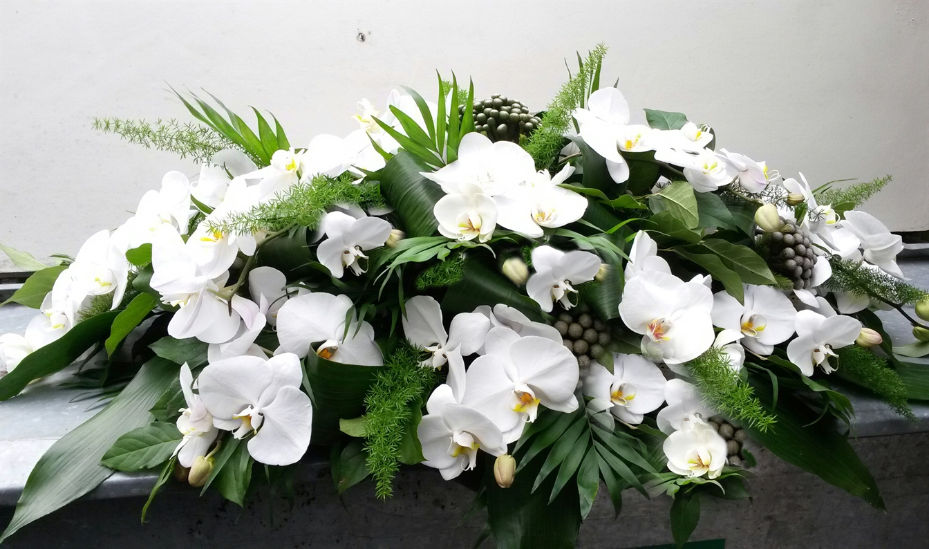 Blz.11 Ovaal Witte Phalaenopsis orchideeen 