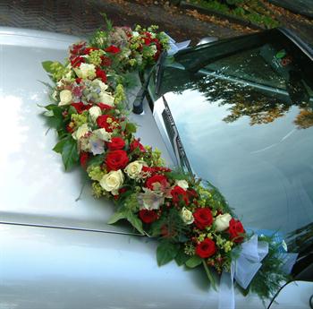 AUTO GUIRLANDE